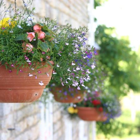 فندق Crossways ويلْزْ المظهر الخارجي الصورة Flower pots